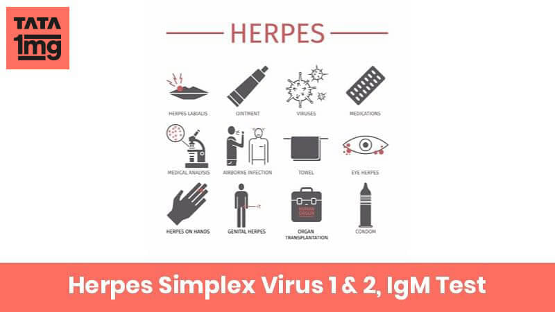 Herpes Simplex Virus 1 & 2 IgM